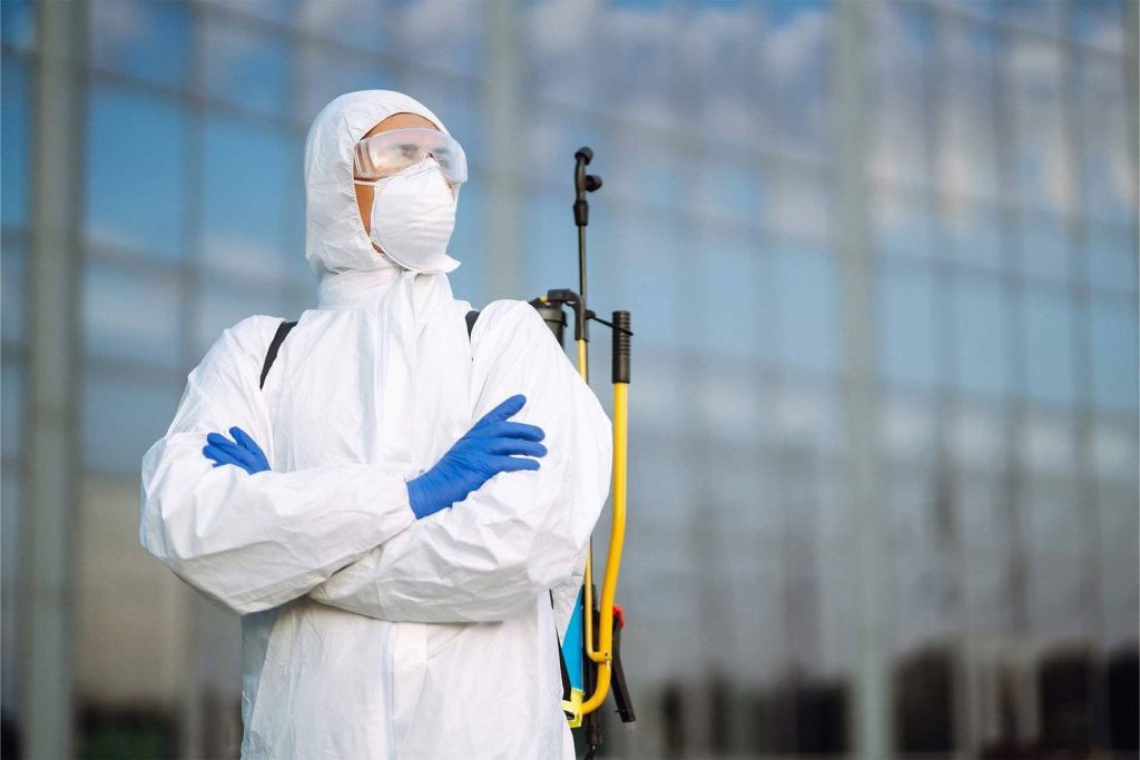 Dromana Pest Control Services