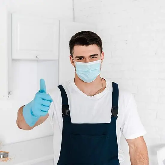 Pest control experts Dromana