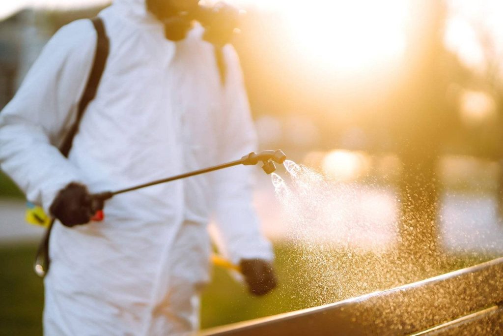 Dromana Pest Inspections