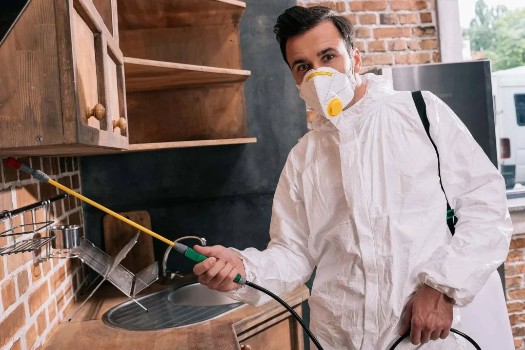 Dromana pest control