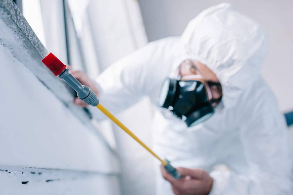 Dromana Pest Controllers