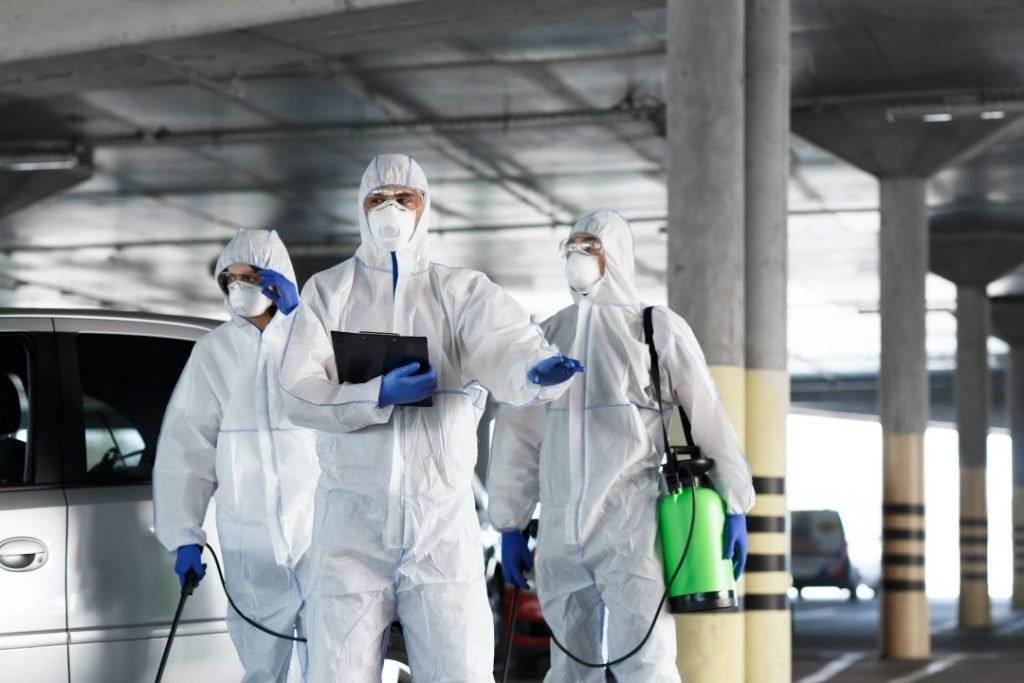 Pest inspections Dromana